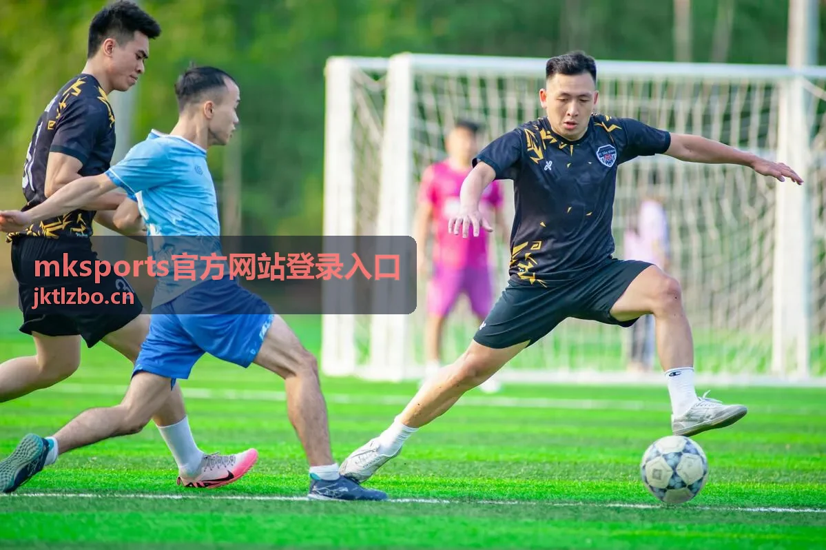mksports官方网站登录入口多设备登录示意