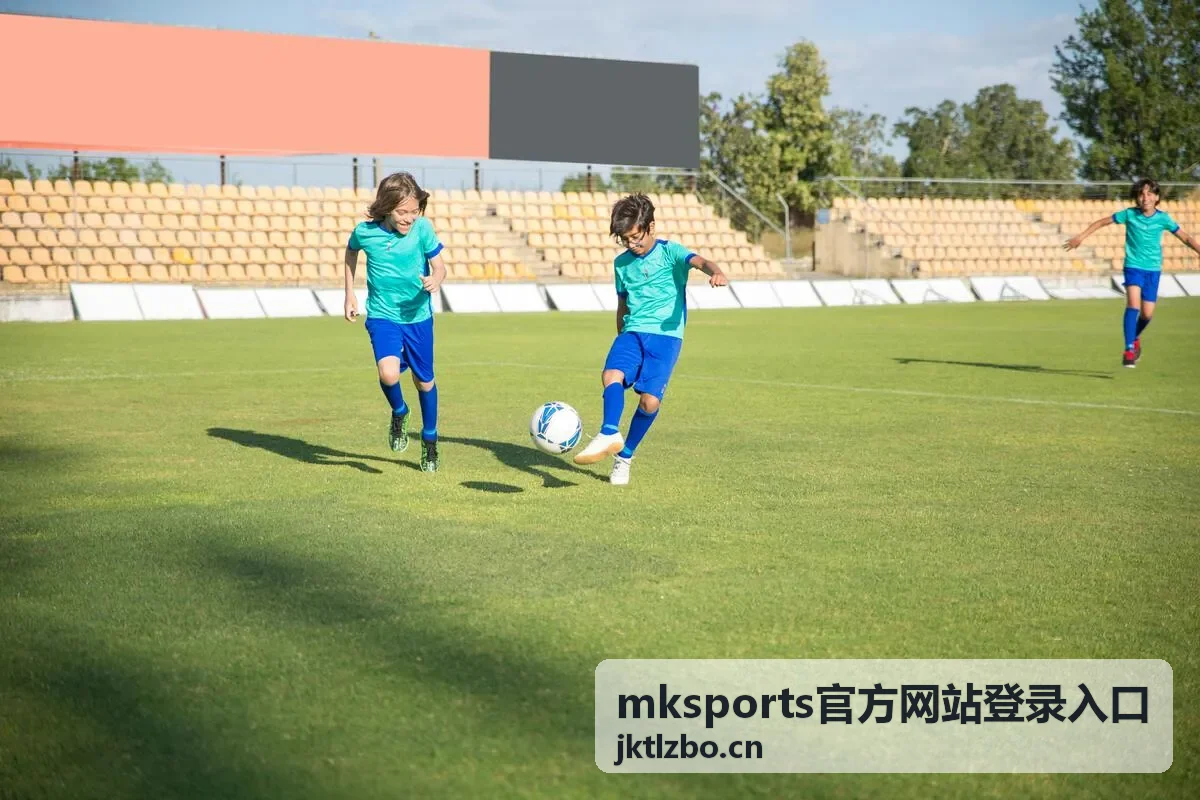 mksports官方网站登录入口需求提交与反馈示意